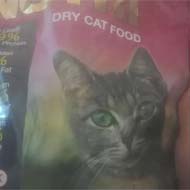 غذای گربه
