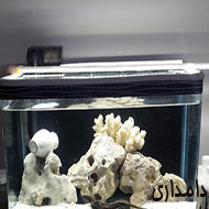 آکواریوم سنگ مرجان پمپ کامل