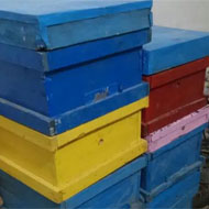 فروش تعدادی کندو زنبور عسل