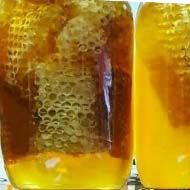 فروش عمده انواع عسل طبیعی زنبور