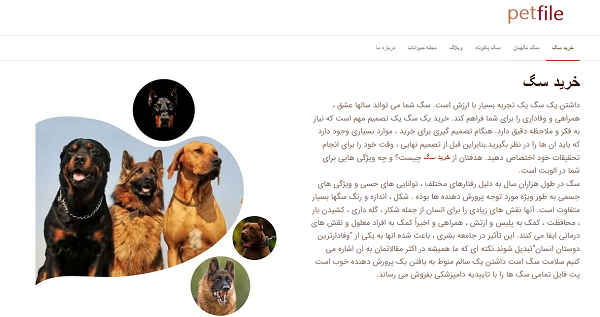 پت فایل، بزرگترین مرکز فروش سگ و توله سگ در ایران