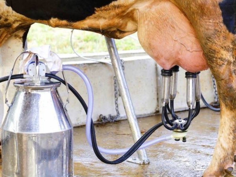 نحوه استفاده از شیر دوش برقی گاو