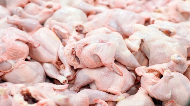 استمرار ثبات قیمت مرغ در بازار شب یلدا/ نرخ هر کیلو مرغ ۲۲ هزار تومان است