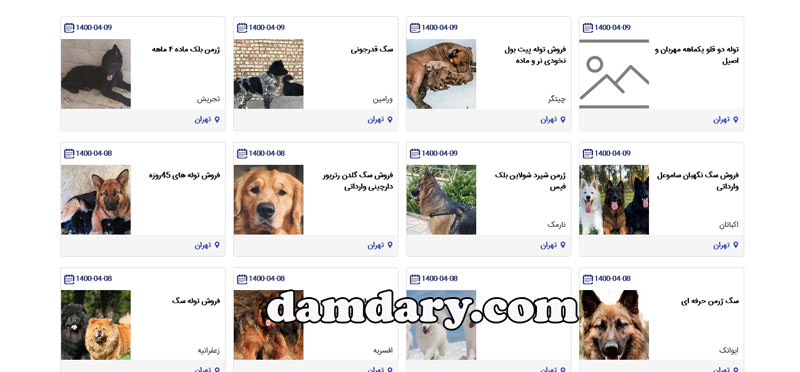 فروش سگ های آپارتمانی در تهران
