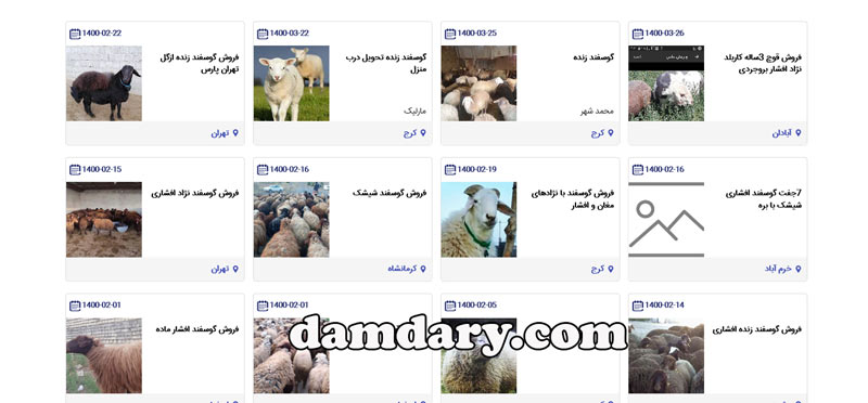 فروش گوسفند افشاری