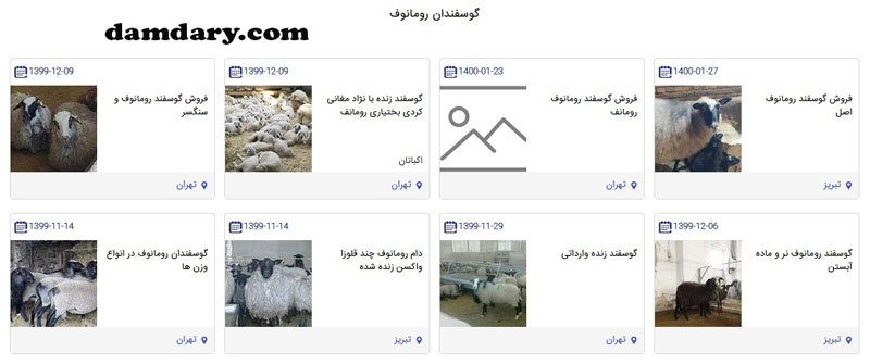 مرکز فروش گوسفندان رومانوف در سایت دامداری